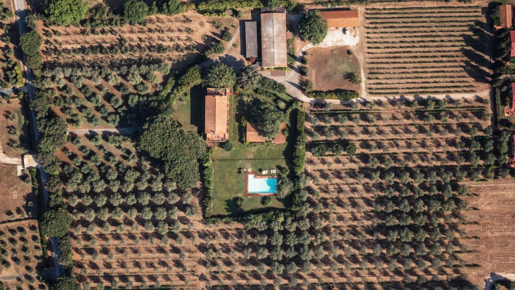 Bb Villa Bolgheri Mare Donoratico Exterior foto